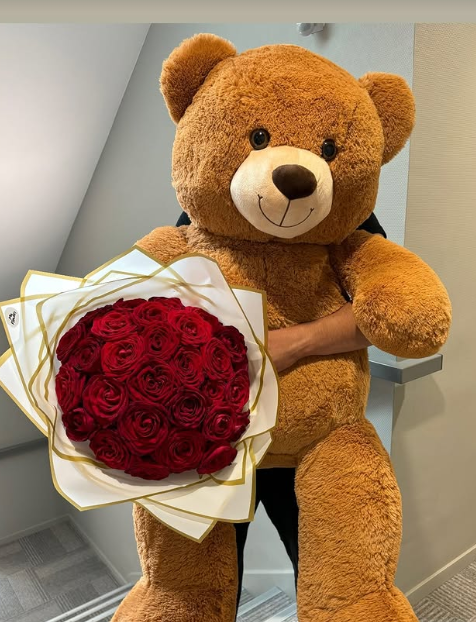 Peluche Teddy